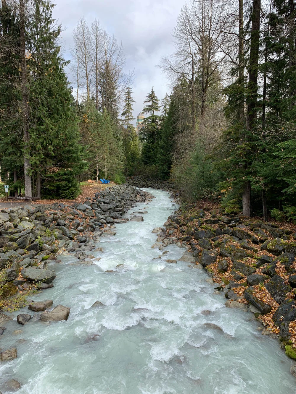 Whistler Travel Tips_Whistler Travel Ideas-4.jpg