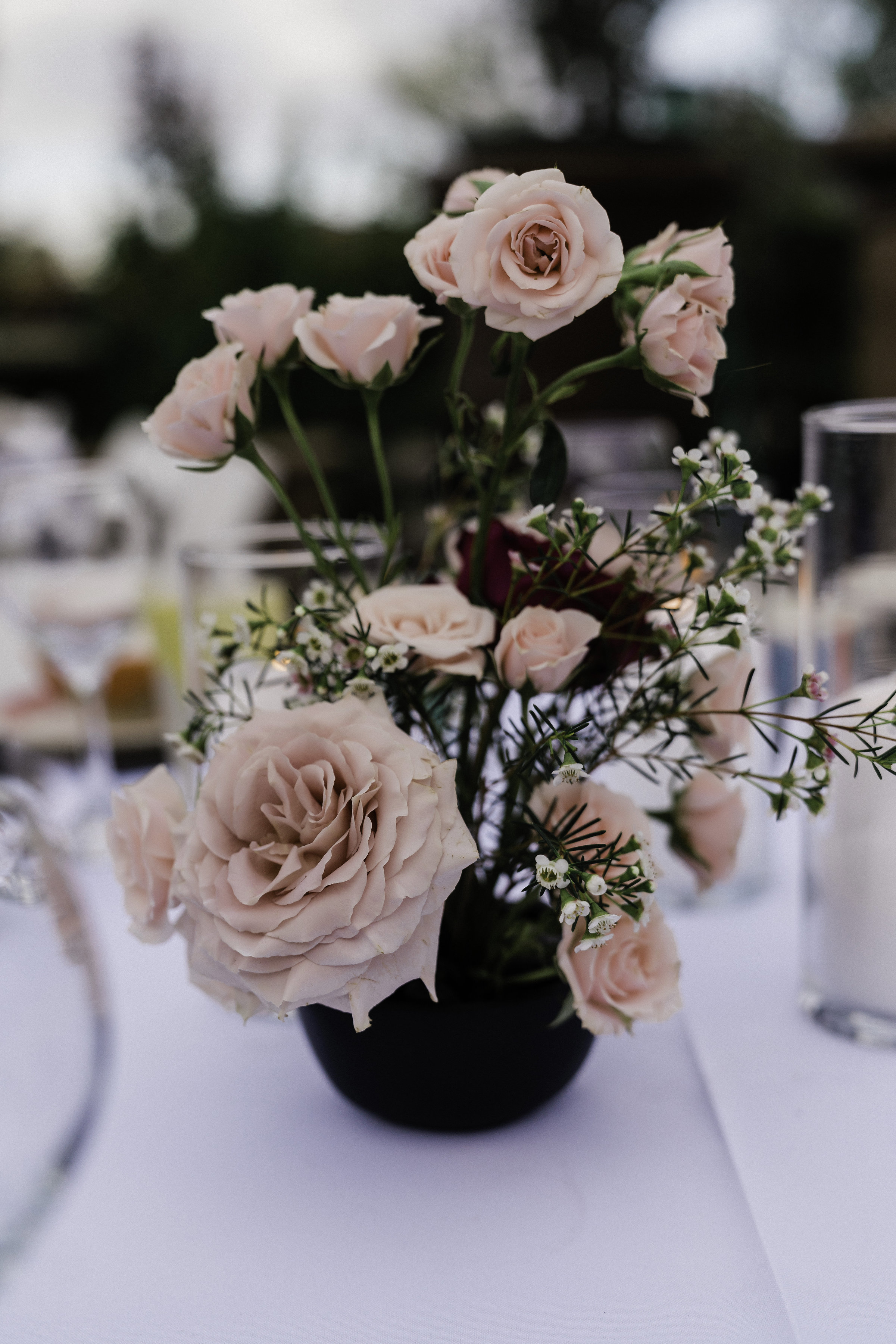 RoseDinner-1035.jpg