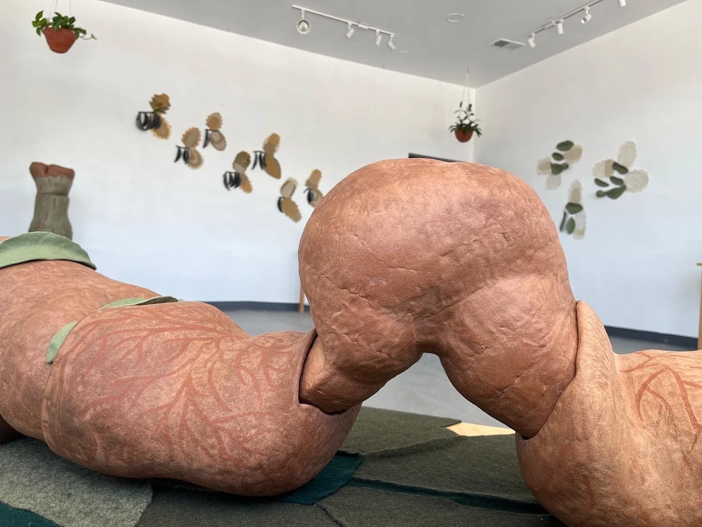 Fallen ground view 2.JPG