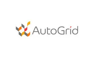 Auto-Grid_.jpeg
