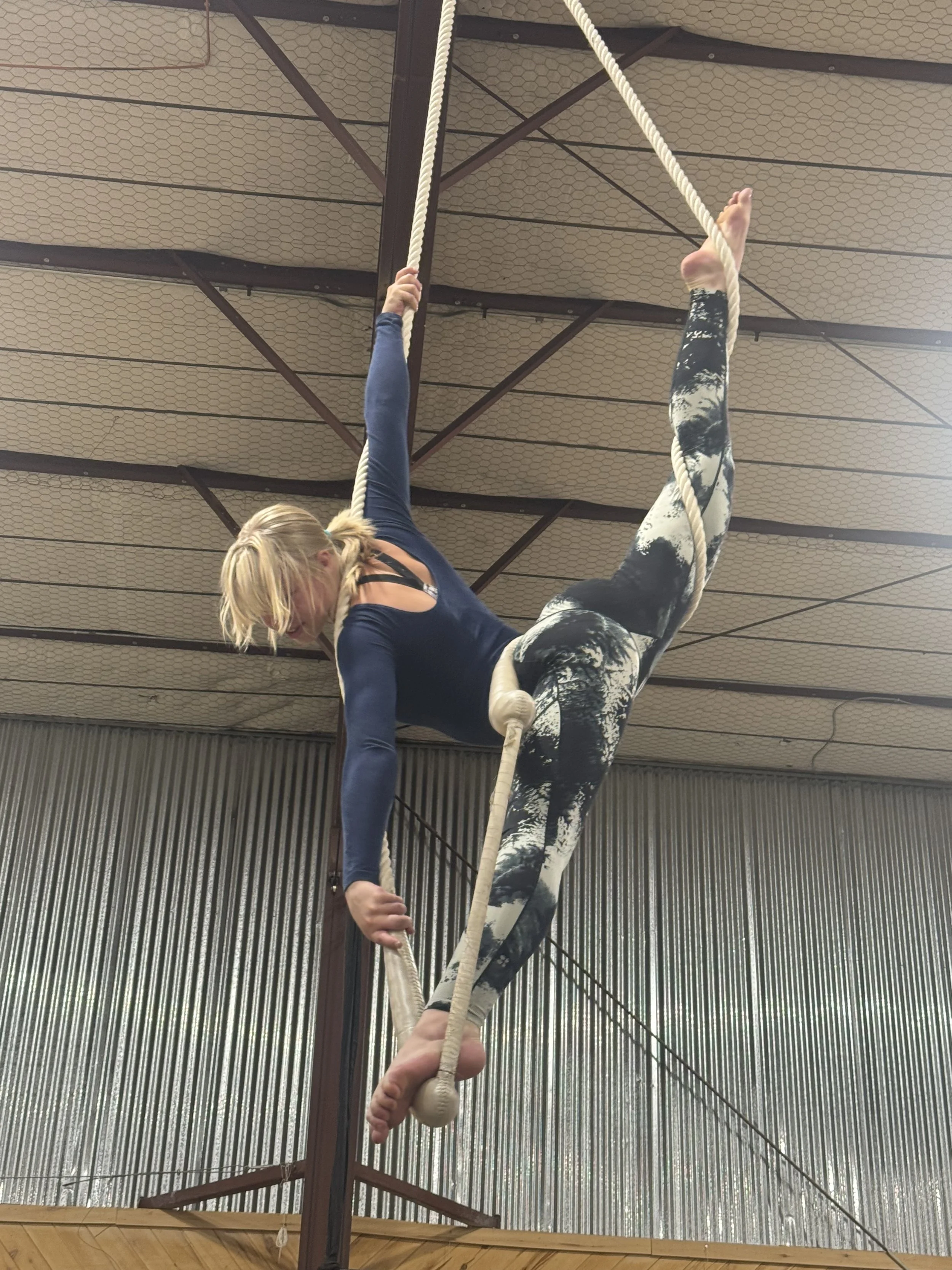 Lyra/Trapeze 3/4