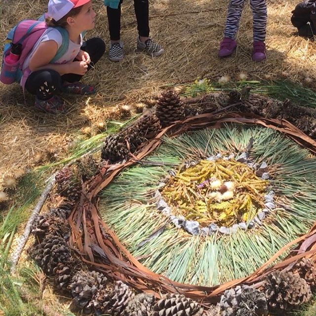 Nature Art and Forts Week! Enjoying the textures and colors of this place and working together to create beauty with the bounty. 
Those soft looking, puffy white flowers towards the outer edge are thistle flowers that have gone to seed. The kids took