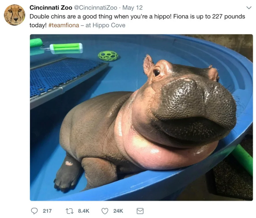 fiona.jpg
