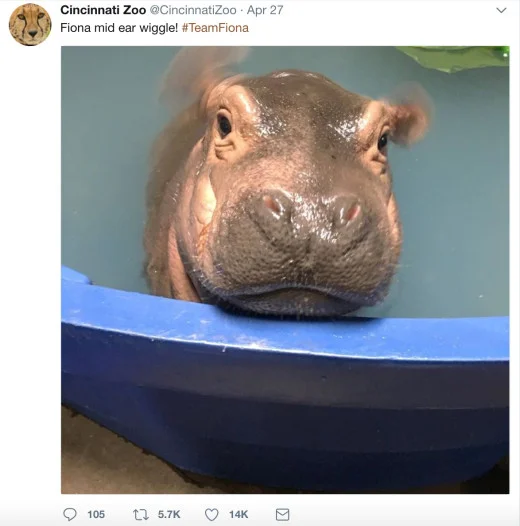 fiona-2.jpg