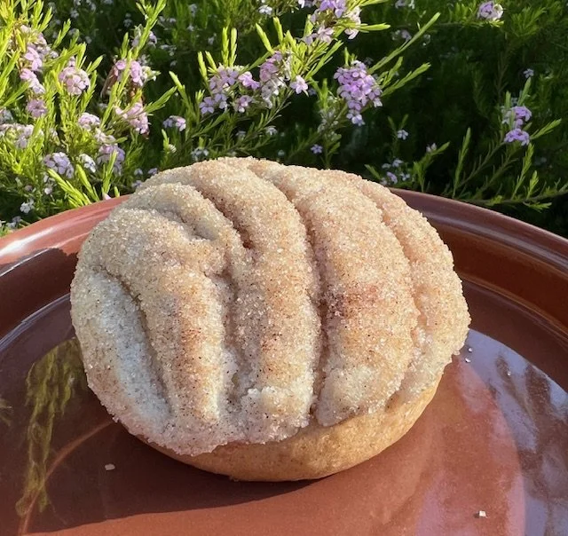 Churro Concha $4.25 each