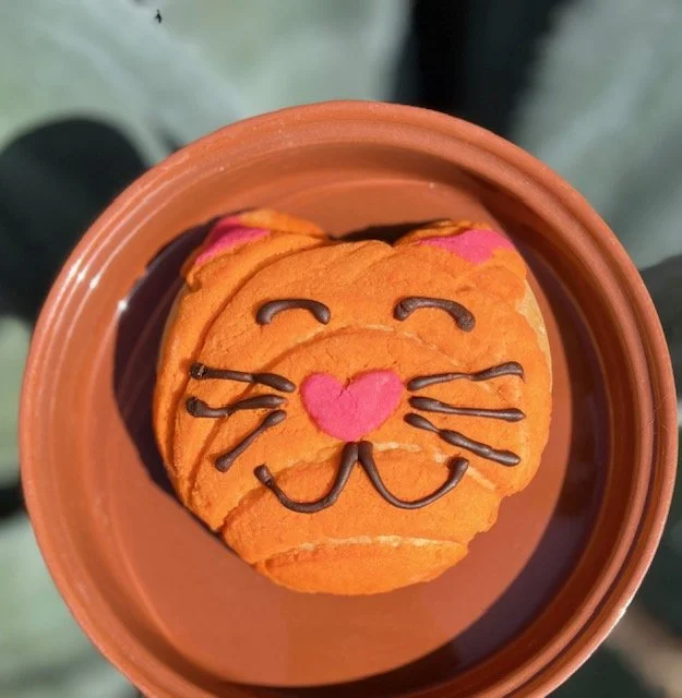 Black Kitty Concha $5.00 each