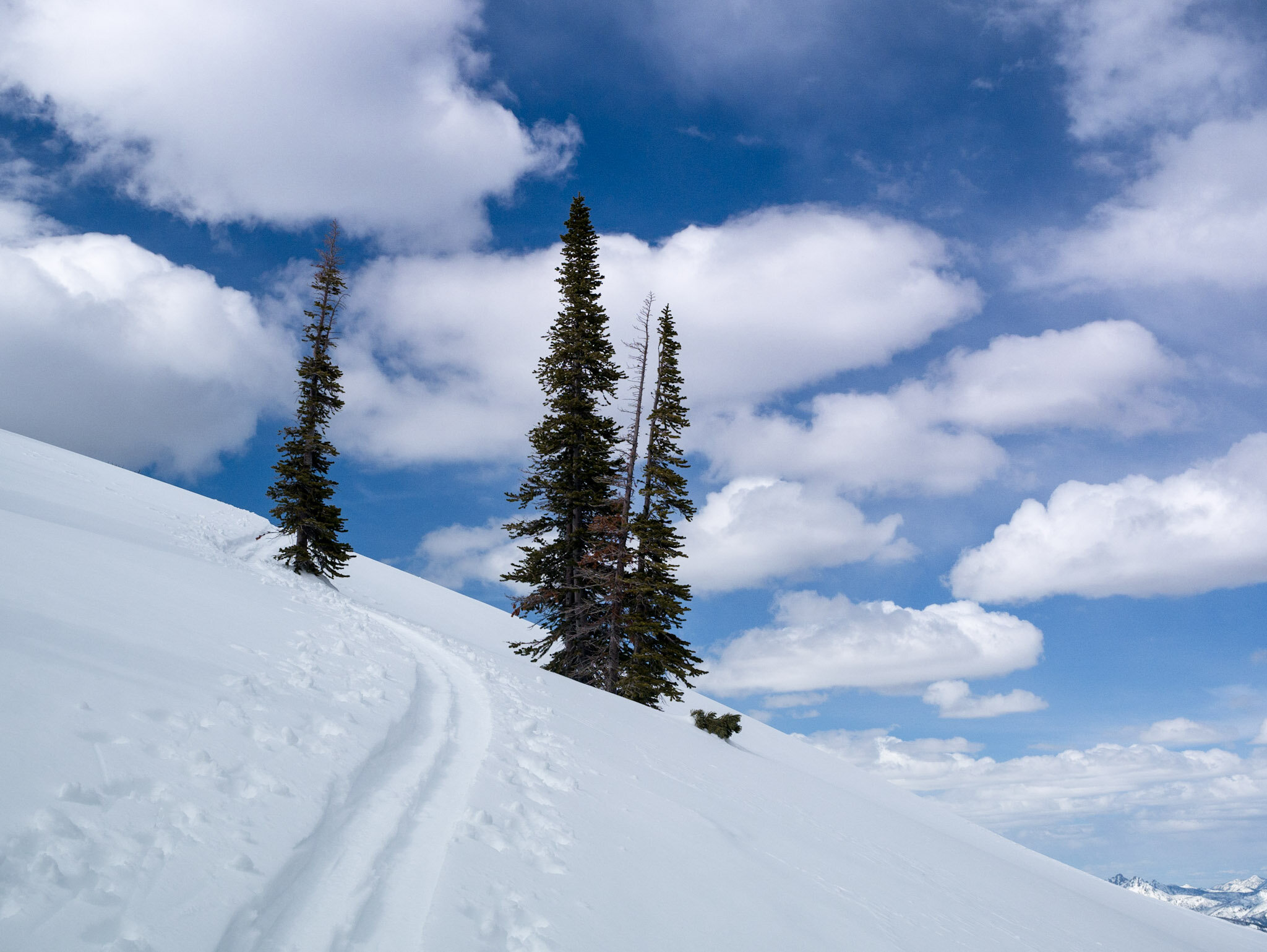 Williams Peak Hut Hut Tripper