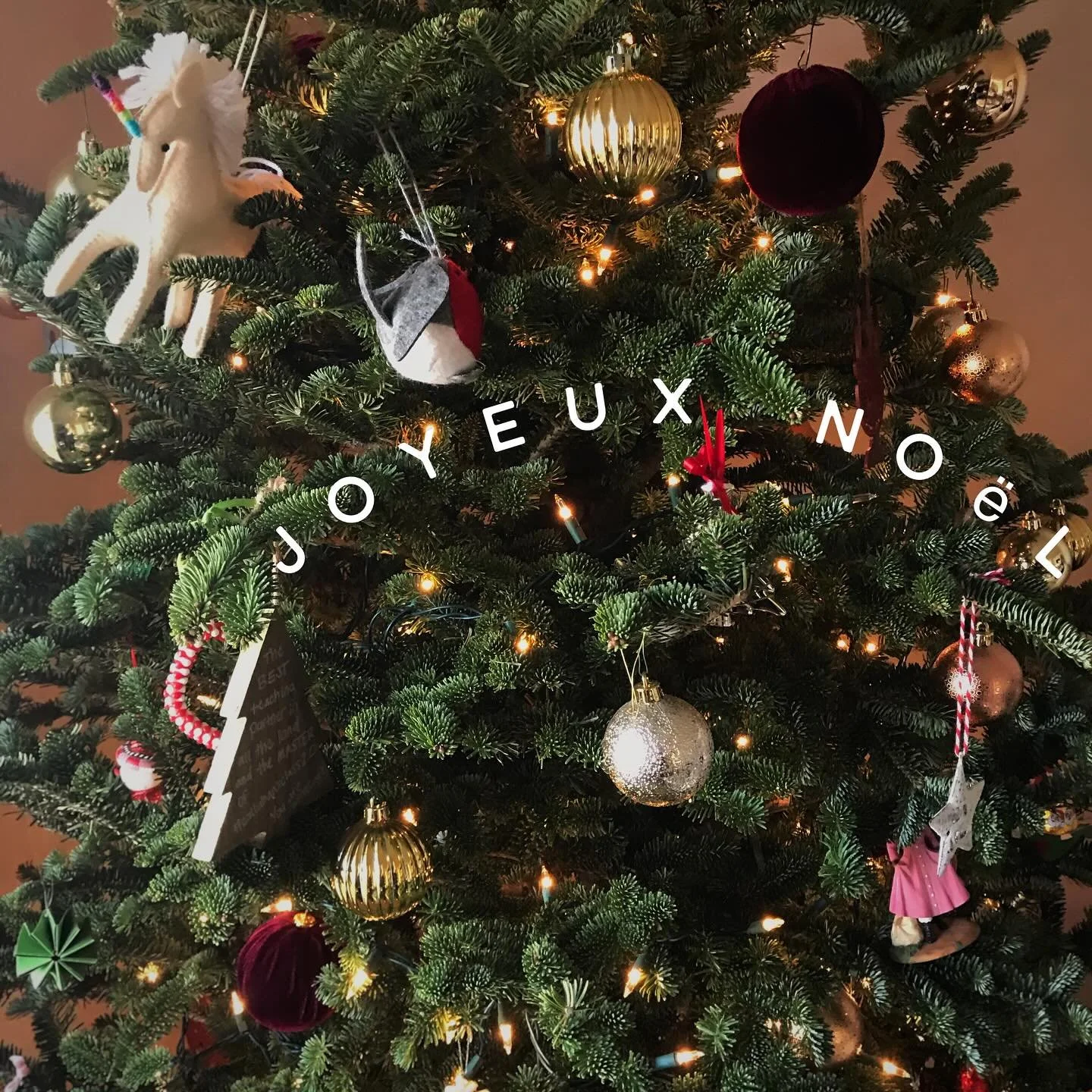 The holiday season is upon us which means our holiday menu is finally here! Order your Buche de Noel, tartes, quiches, pastries, pantry items, Veloute merch and gift cards for all of your family and friends this year! Last day to order is Dec 17th, w