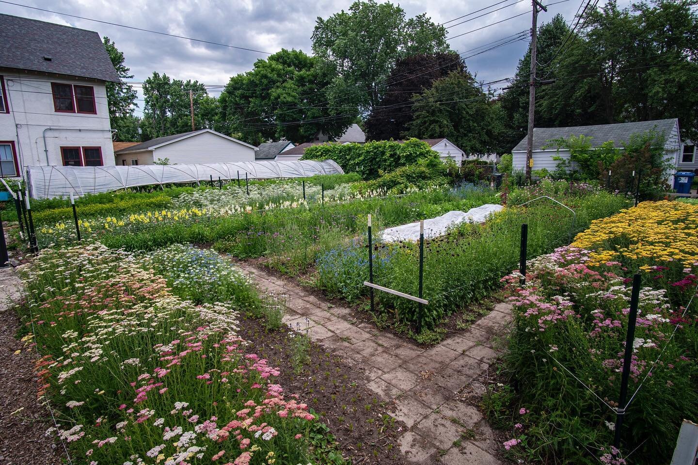 I&rsquo;m finally getting into gear and doing my crop planning for the season. It&rsquo;s a puzzle to map together what to grow, new and old varieties, how much of each variety, where it fits, and the timing of everything. A bit of a moving target ev