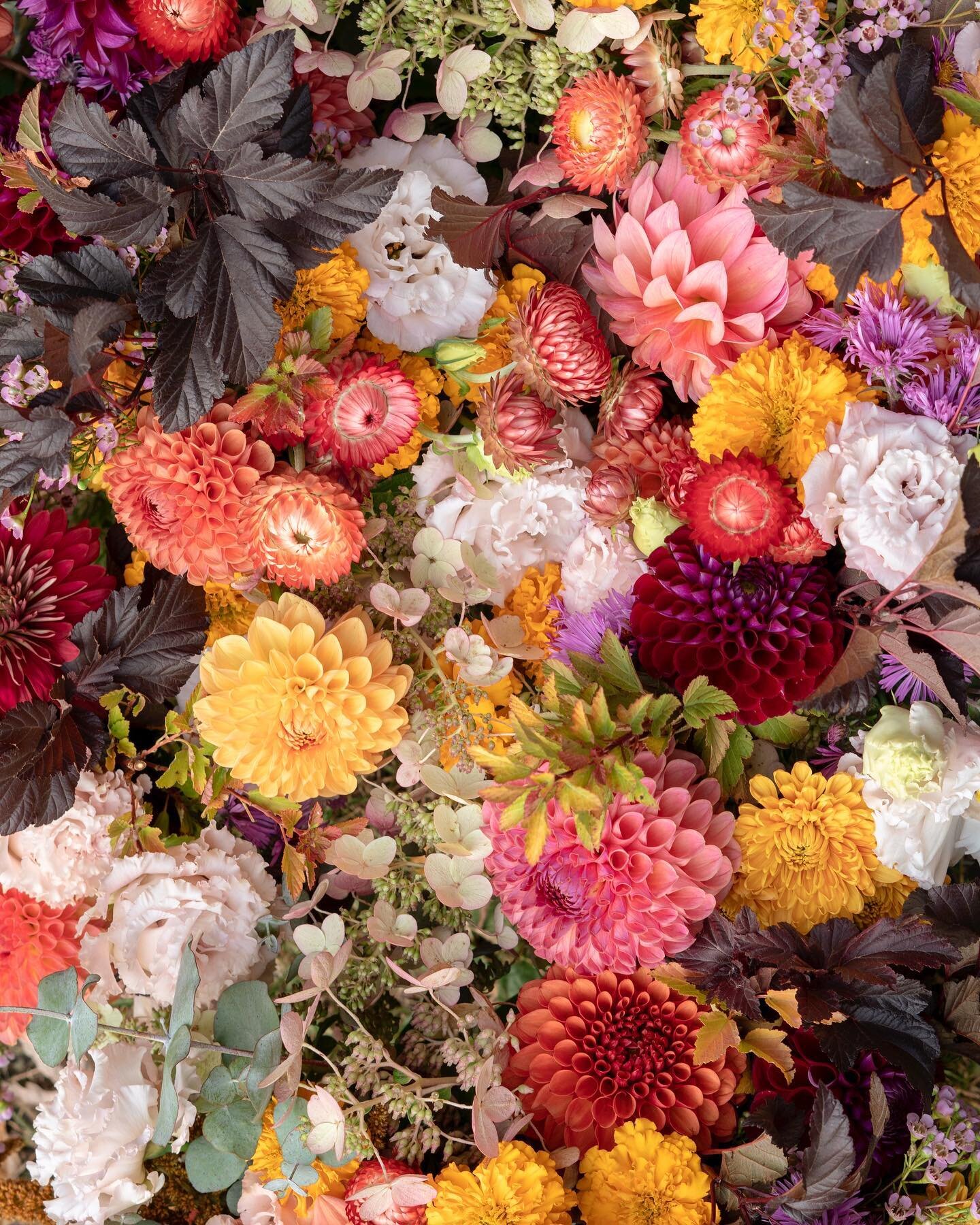 The last event of the season was a fun one! I did wedding flowers for a couple who wanted a joyful, autumnal celebration&mdash; making the most of their highly pared-down 2020 wedding. We were able to round up the last of the season&rsquo;s blooms fo