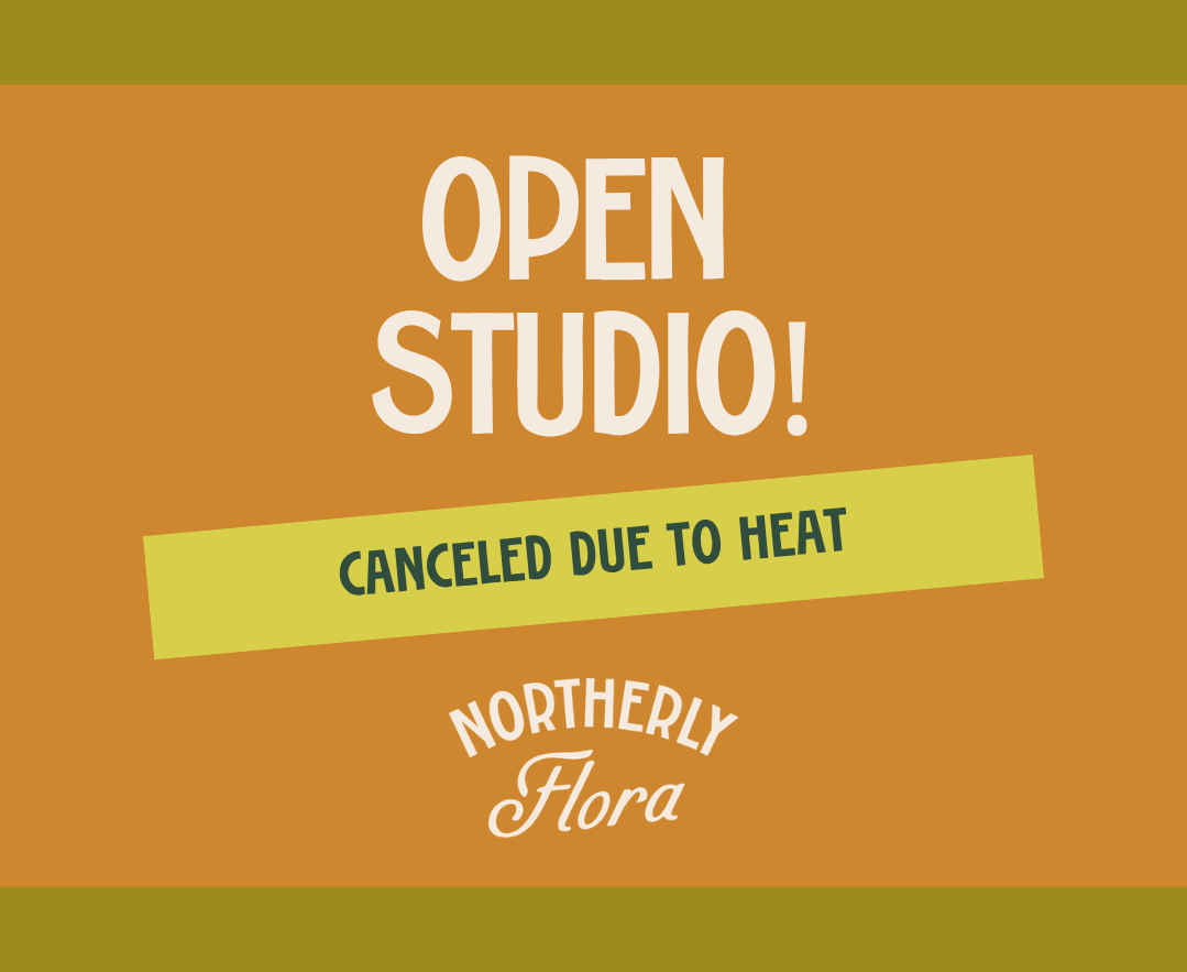 July Open Studio - Canceled