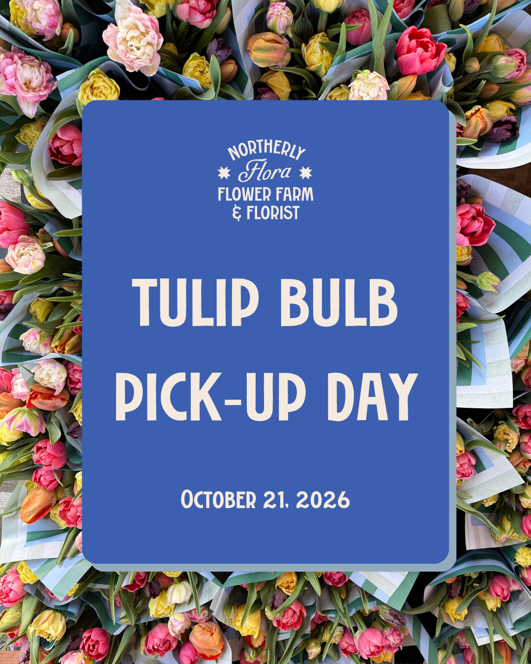 Tulip & Specialty Bulb Pick-up Day