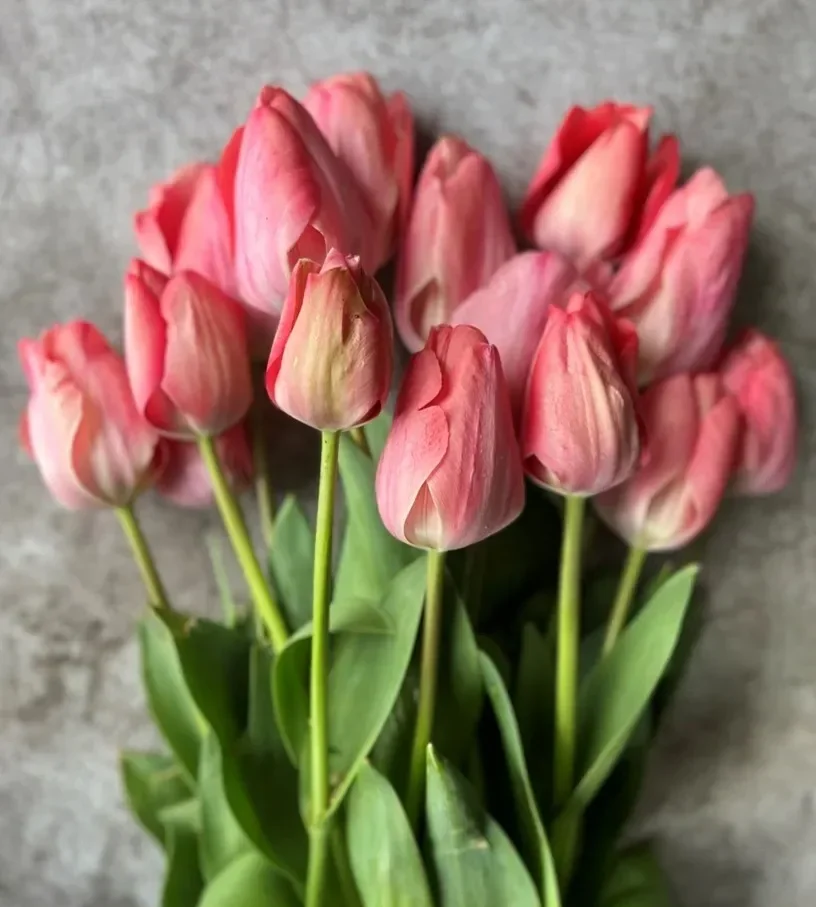 design-impressionm-1.webp