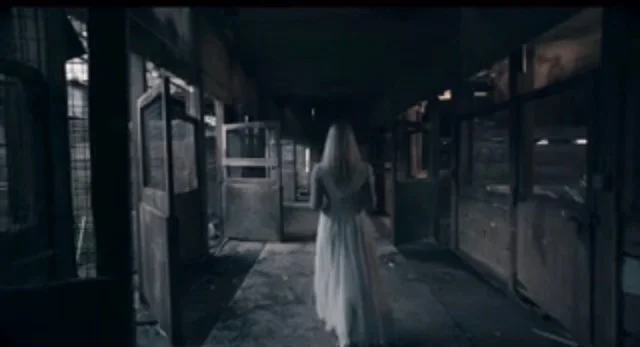 Betrayed Within.jpeg