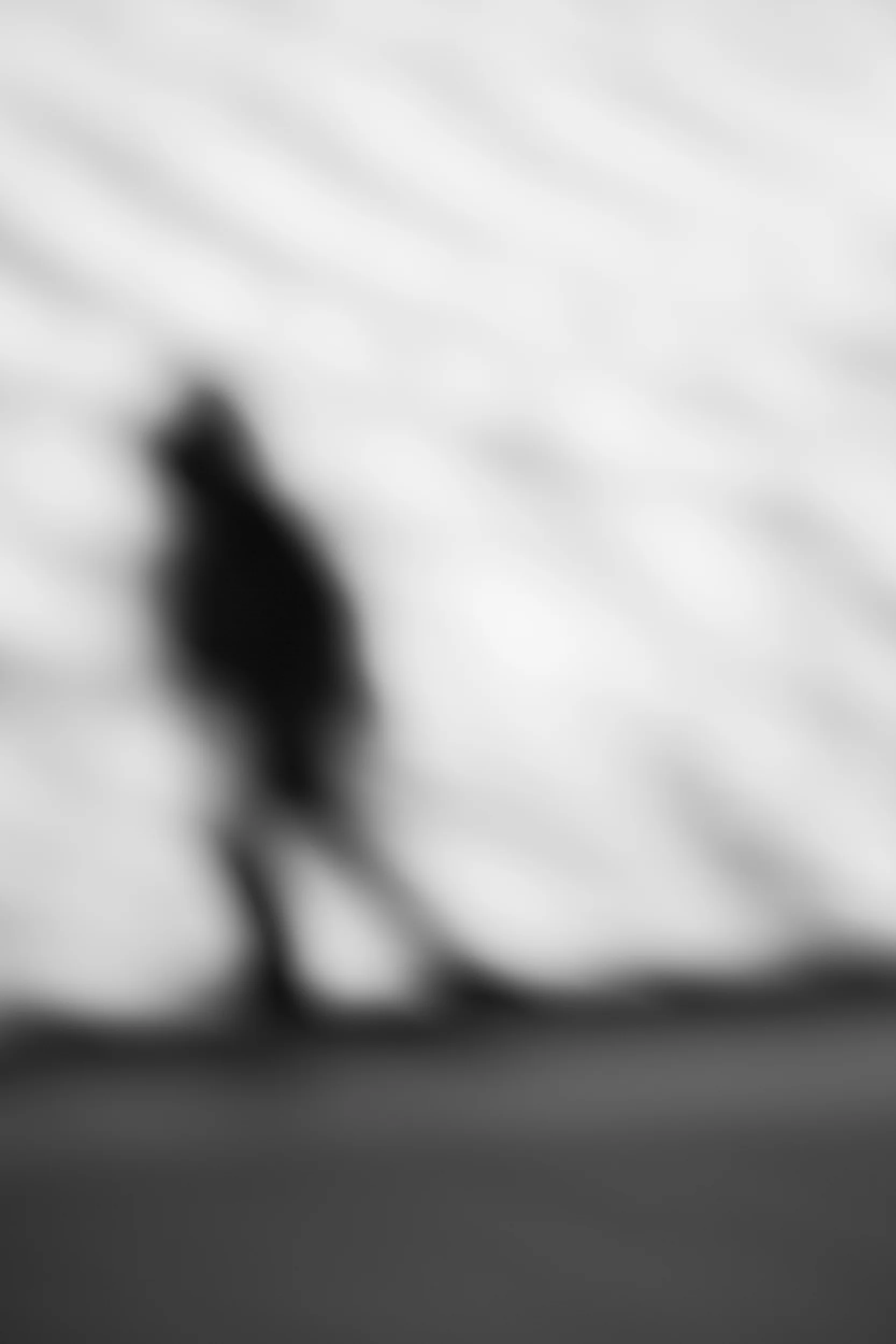 _D9A8083.jpg