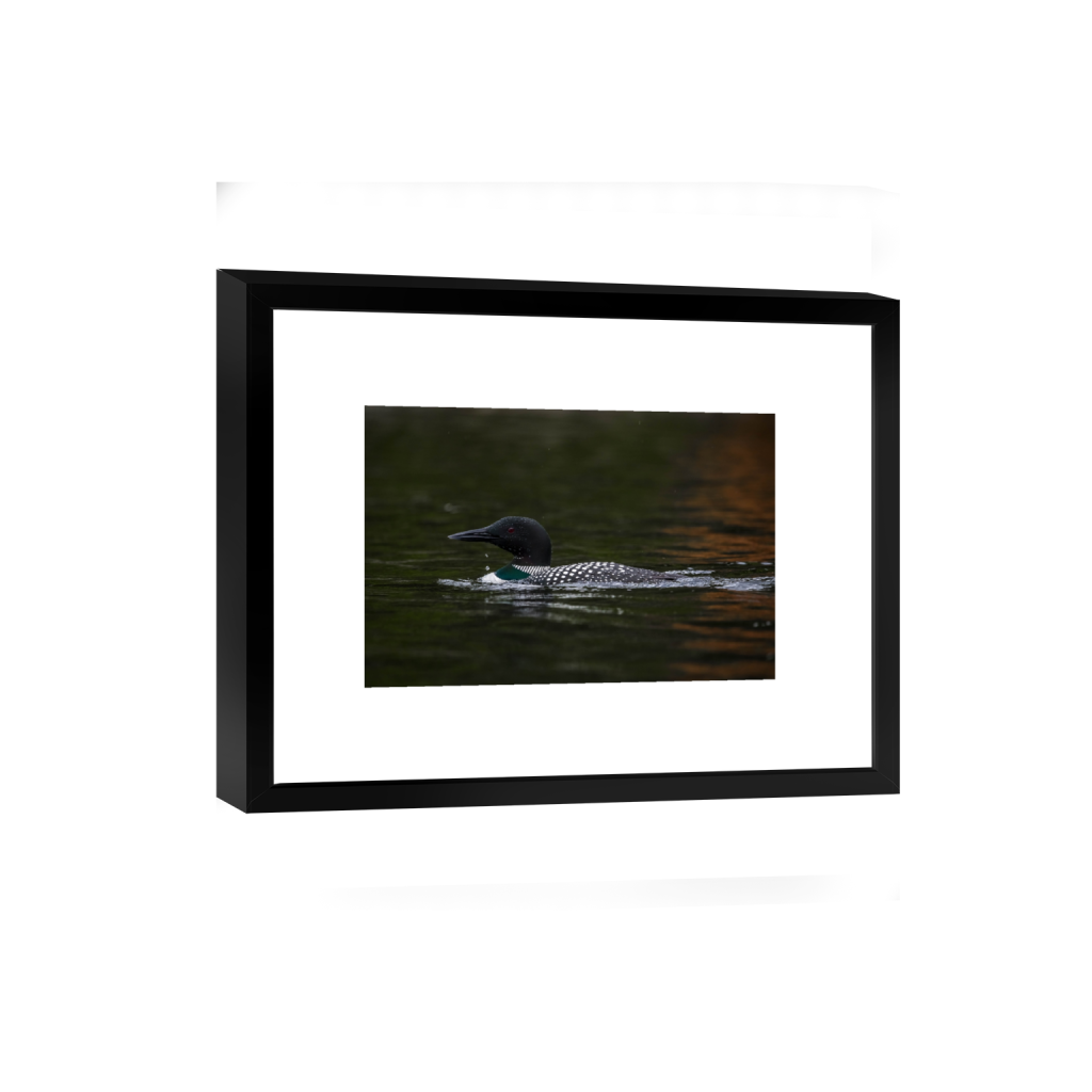 smartframe_rectangle2_3_37_0_4944_3296_0_false_ffffff_0_0.png