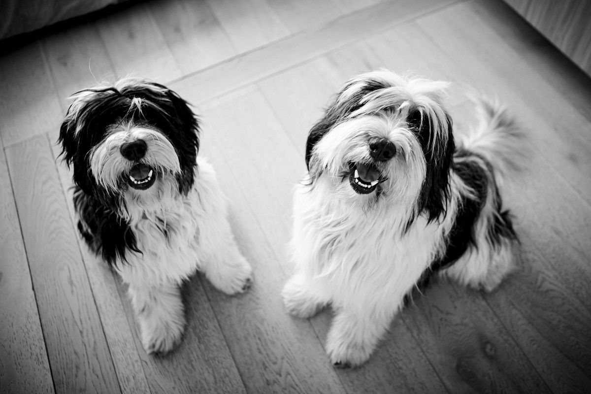 Boris&Ivan_016.jpg