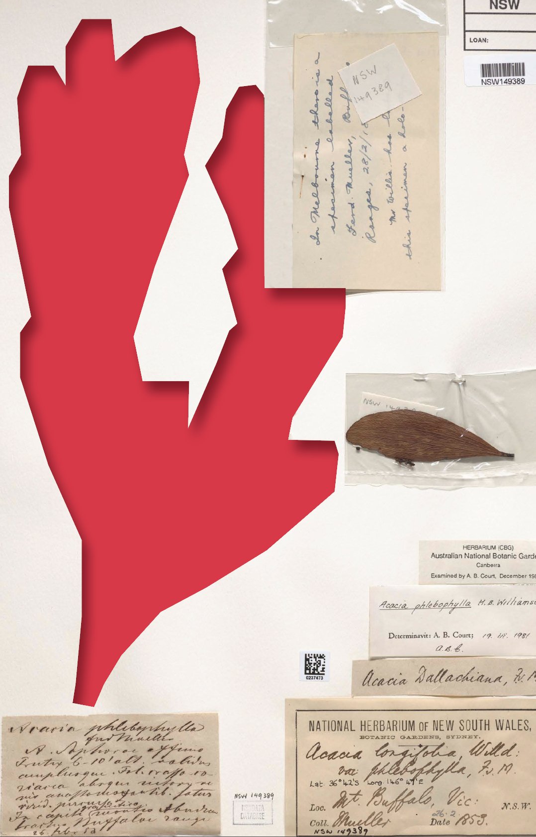 Plant Thieves: Secrets of the Herbarium , NewSouth, 2023