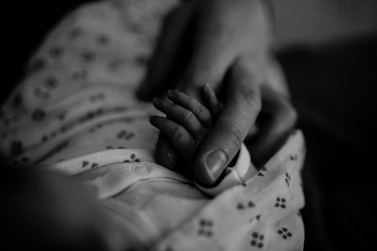 Newborn Photography Wilberforce| Justine Curran Photography