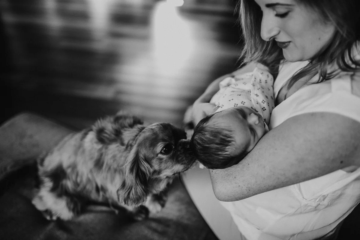 Newborn Photography Wilberforce| Justine Curran Photography
