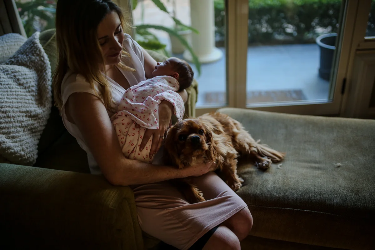 Newborn Photography Wilberforce| Justine Curran Photography