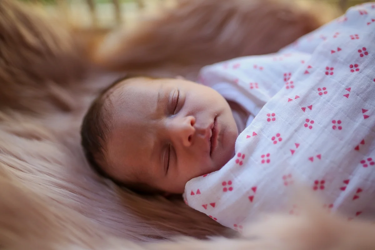 Newborn Photography Wilberforce| Justine Curran Photography