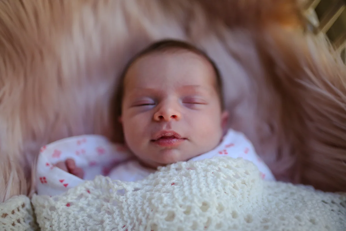 Newborn Photography Wilberforce| Justine Curran Photography
