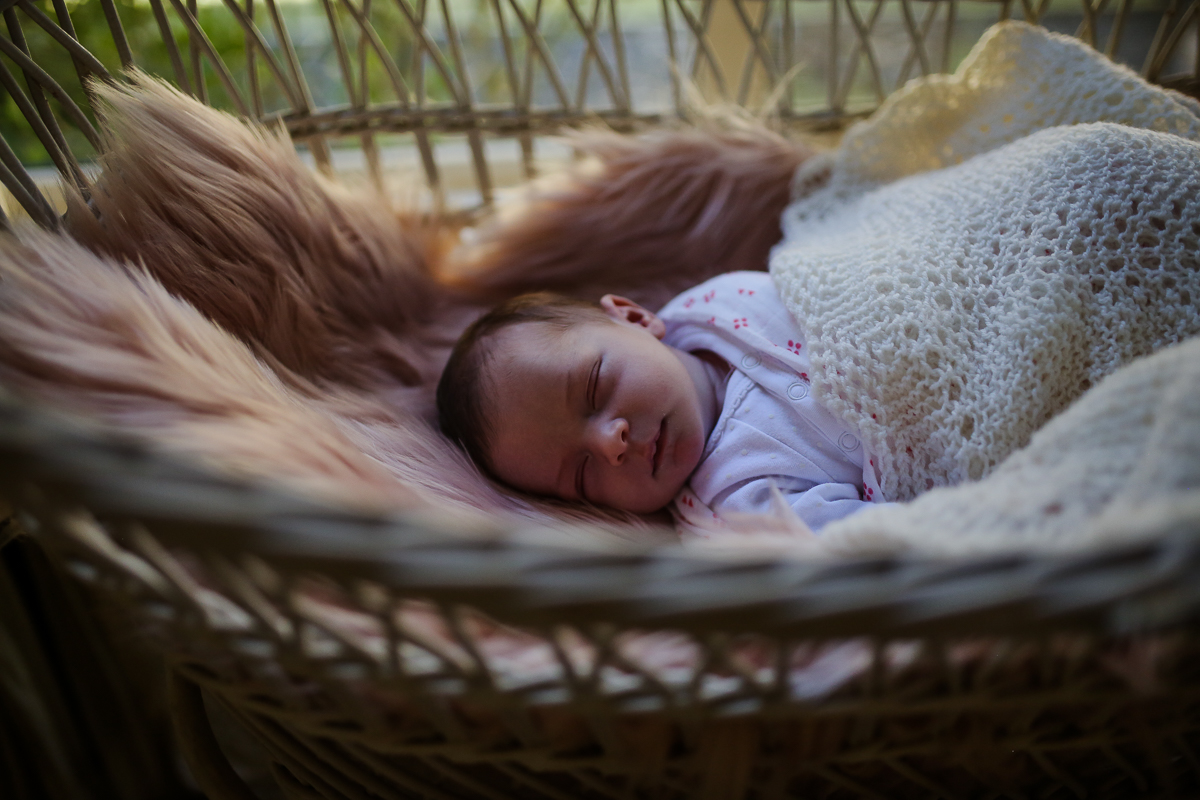 Newborn Photography Wilberforce| Justine Curran Photography