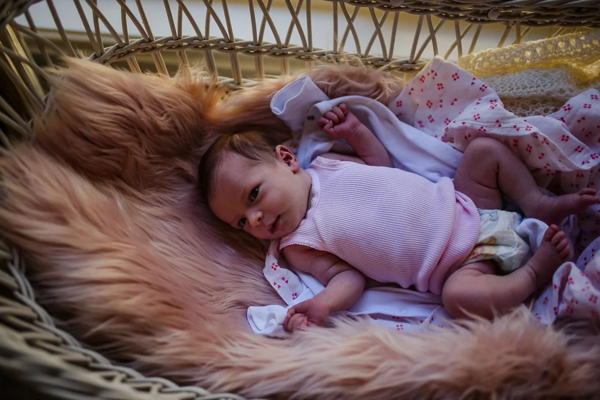 Newborn Photography Wilberforce| Justine Curran Photography