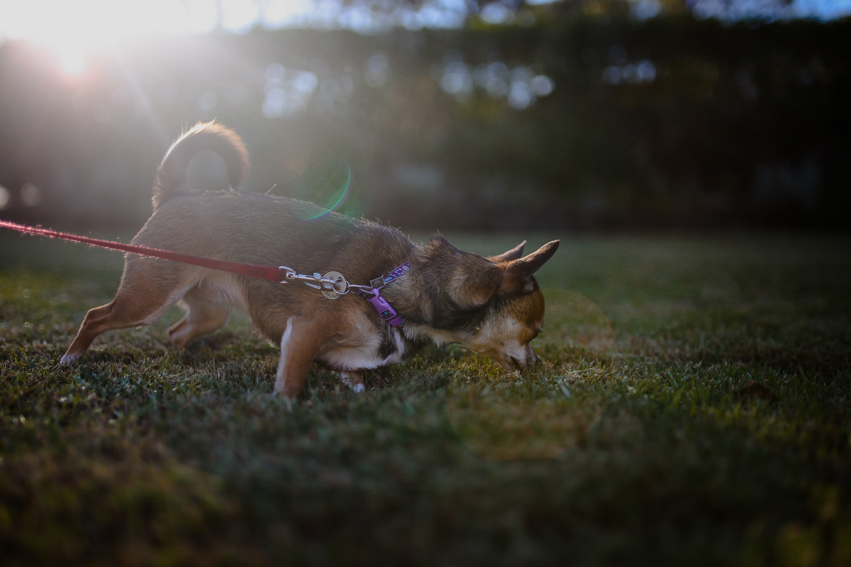 Baby Maya | Justine Curran Photography-21