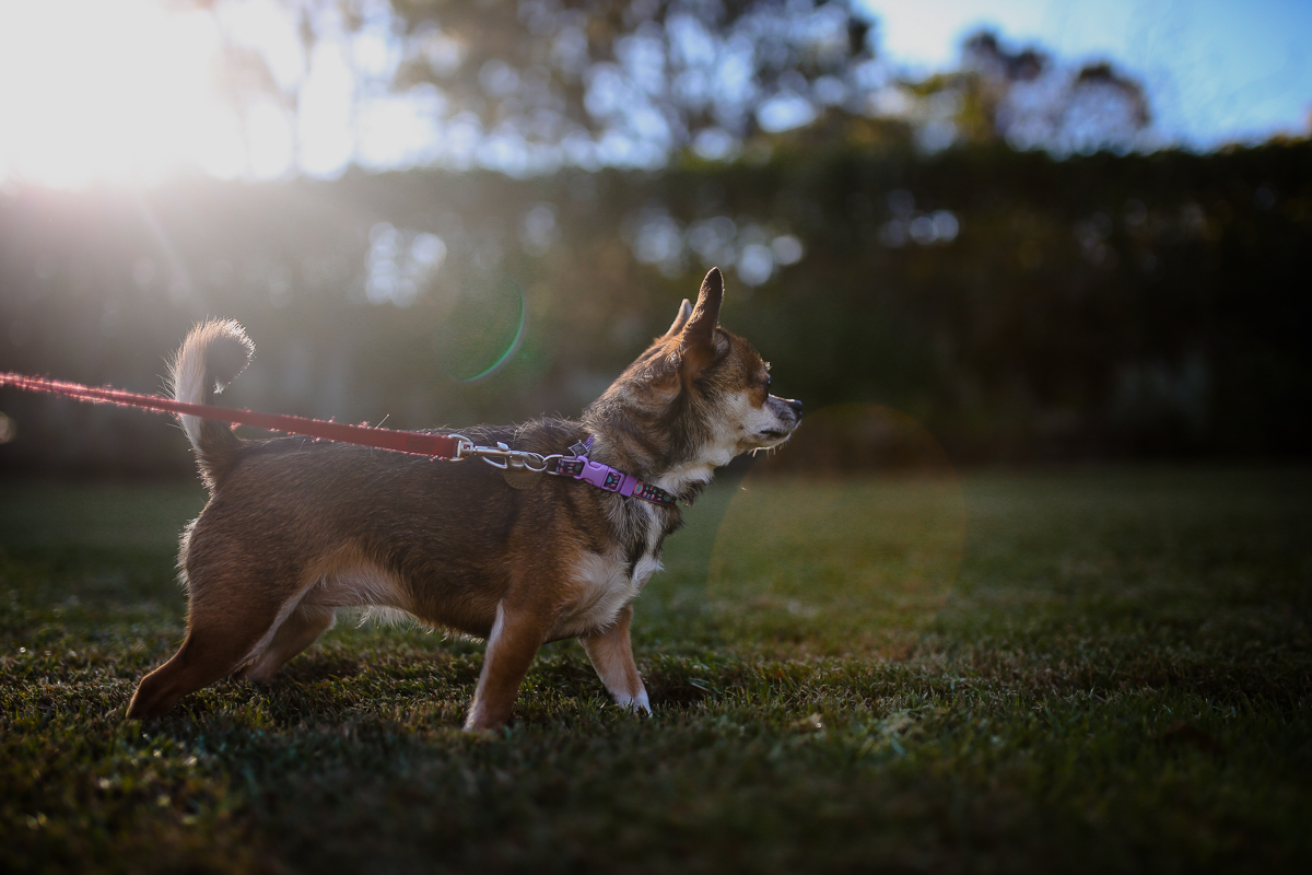 Baby Maya | Justine Curran Photography-22