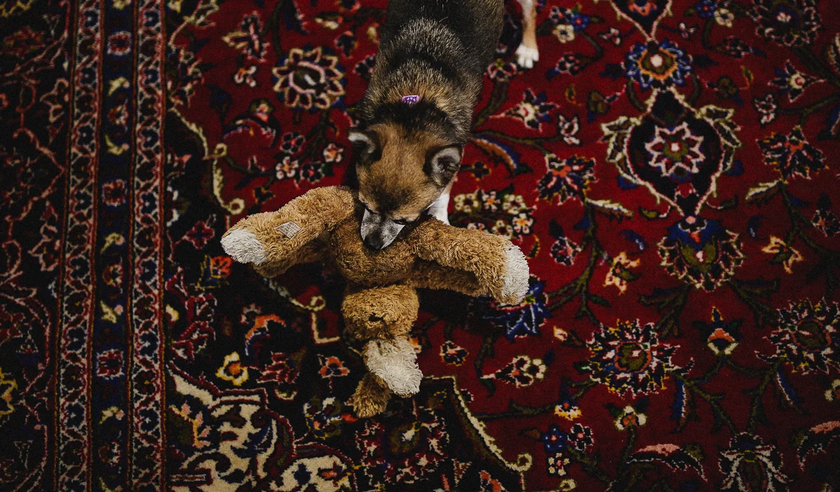 Baby Maya | Justine Curran Photography-27