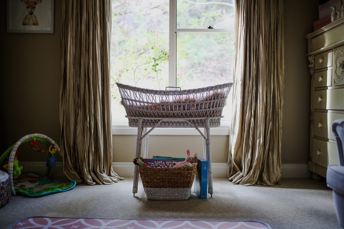 Beautiful Vintage Bassinet