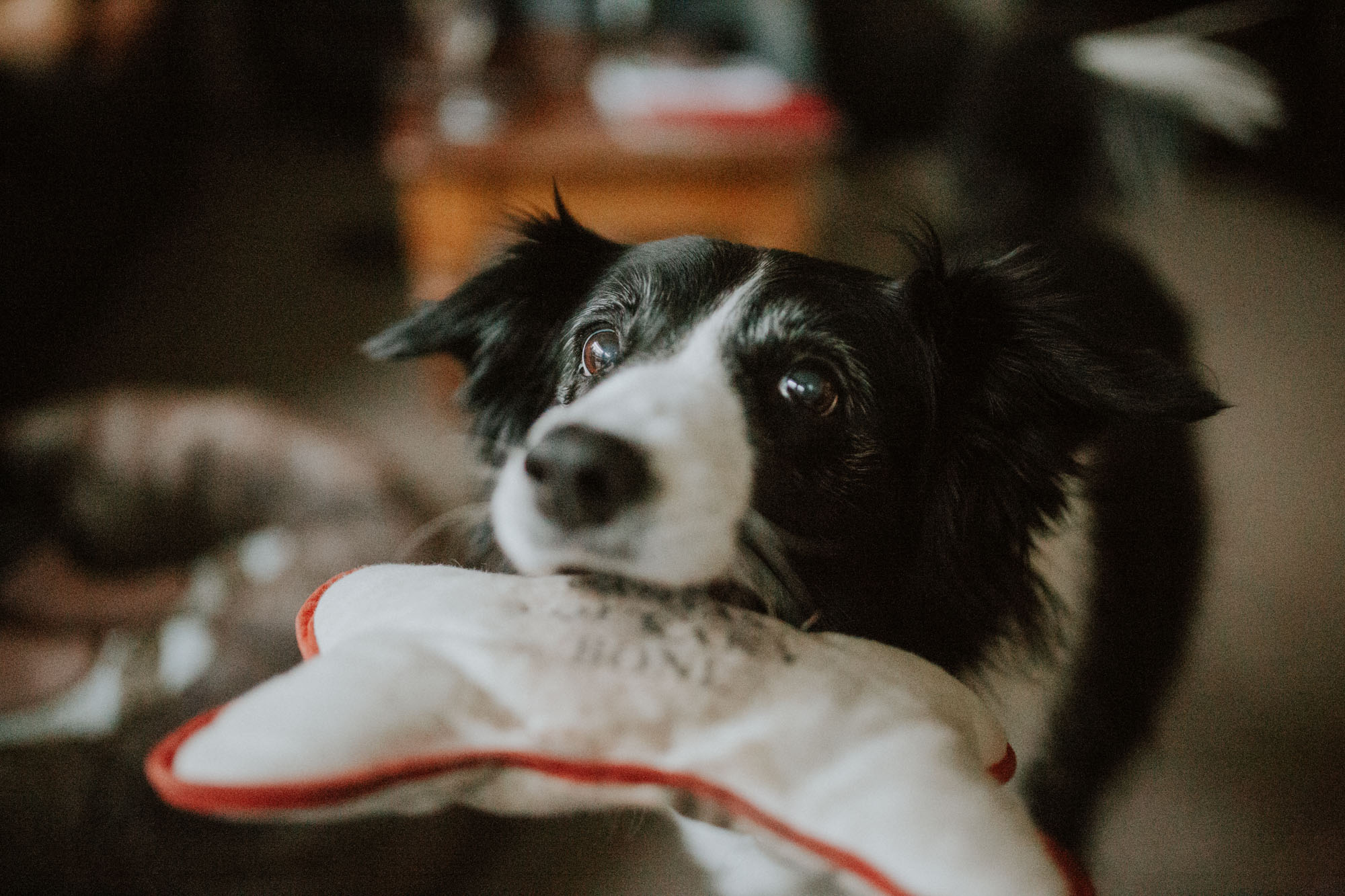 Justine Curran Family Photography-70.jpg