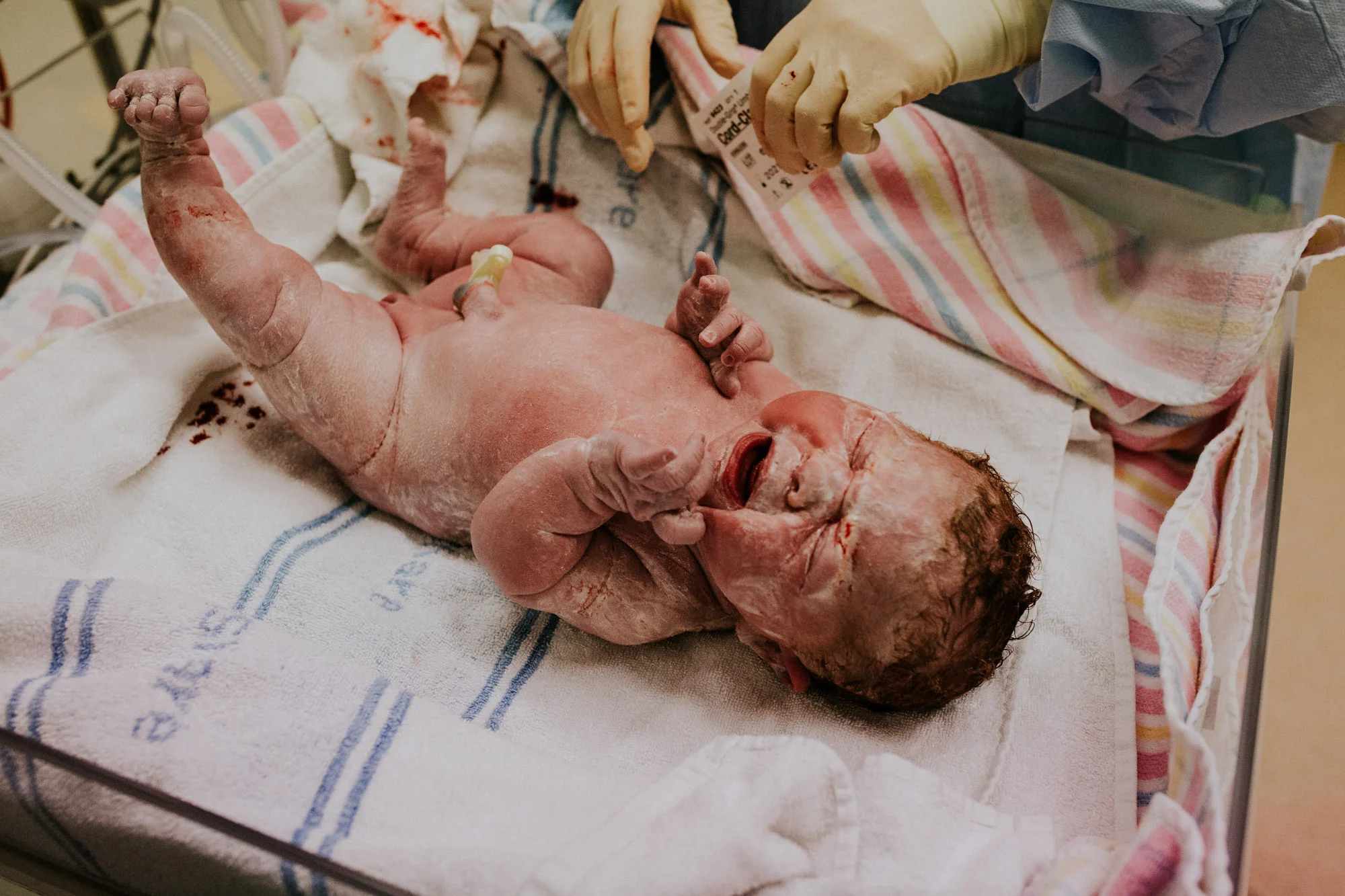 Grace Gabriella Wolf