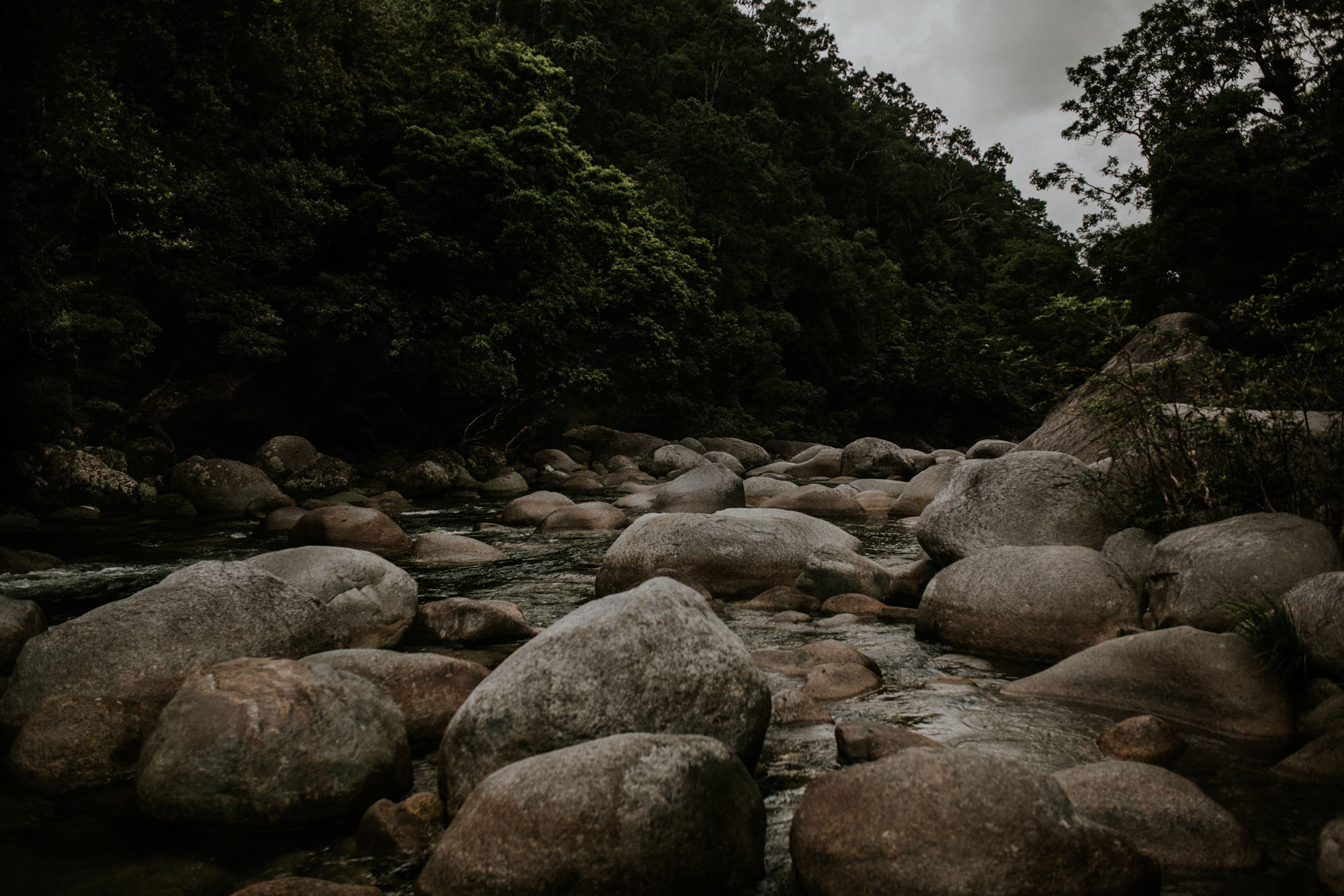 Mossman Gorge - Daintree Rainforest