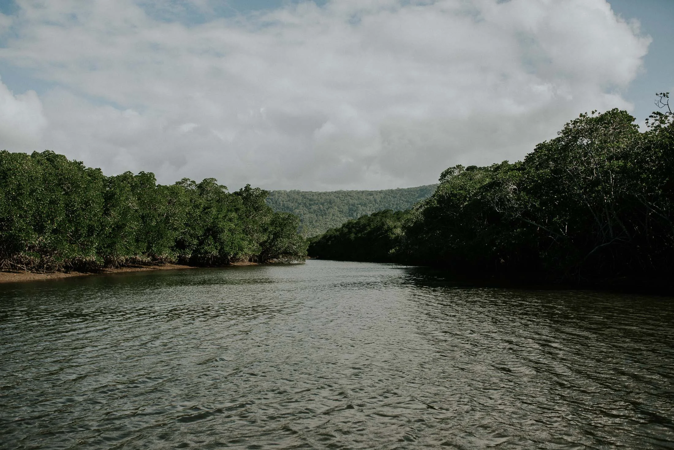 Port Douglas River