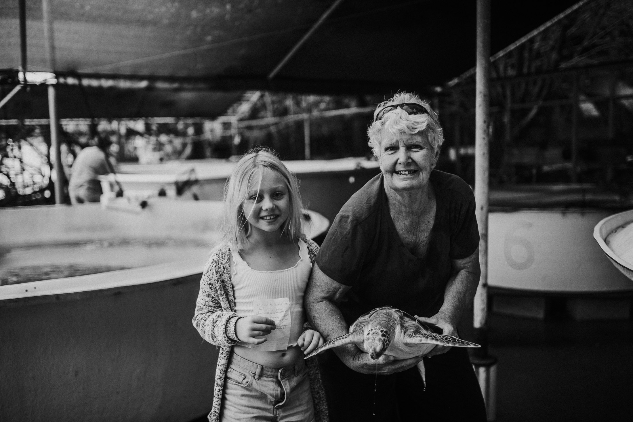 Cairns Turtle Rehabilitation Centre