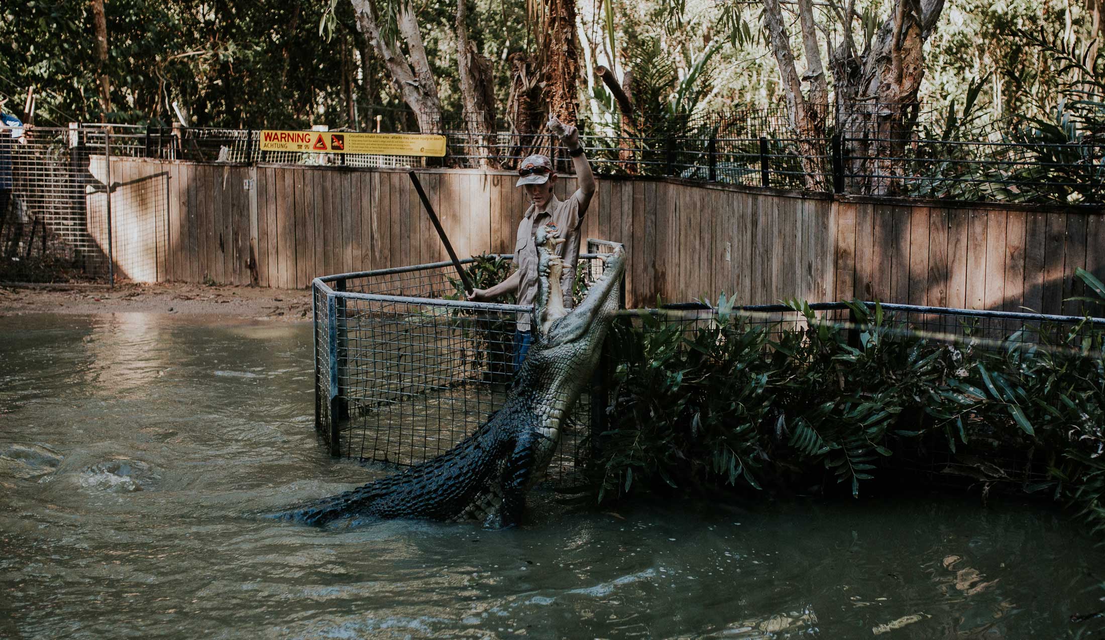 Hartley's Crocodile Adventure