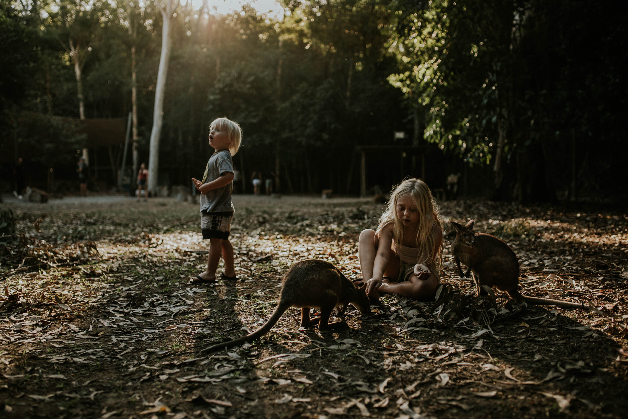 Hartley's Crocodile Adventure