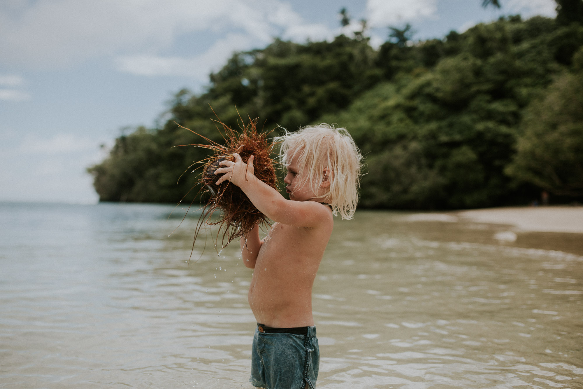 Coconuts on the beach