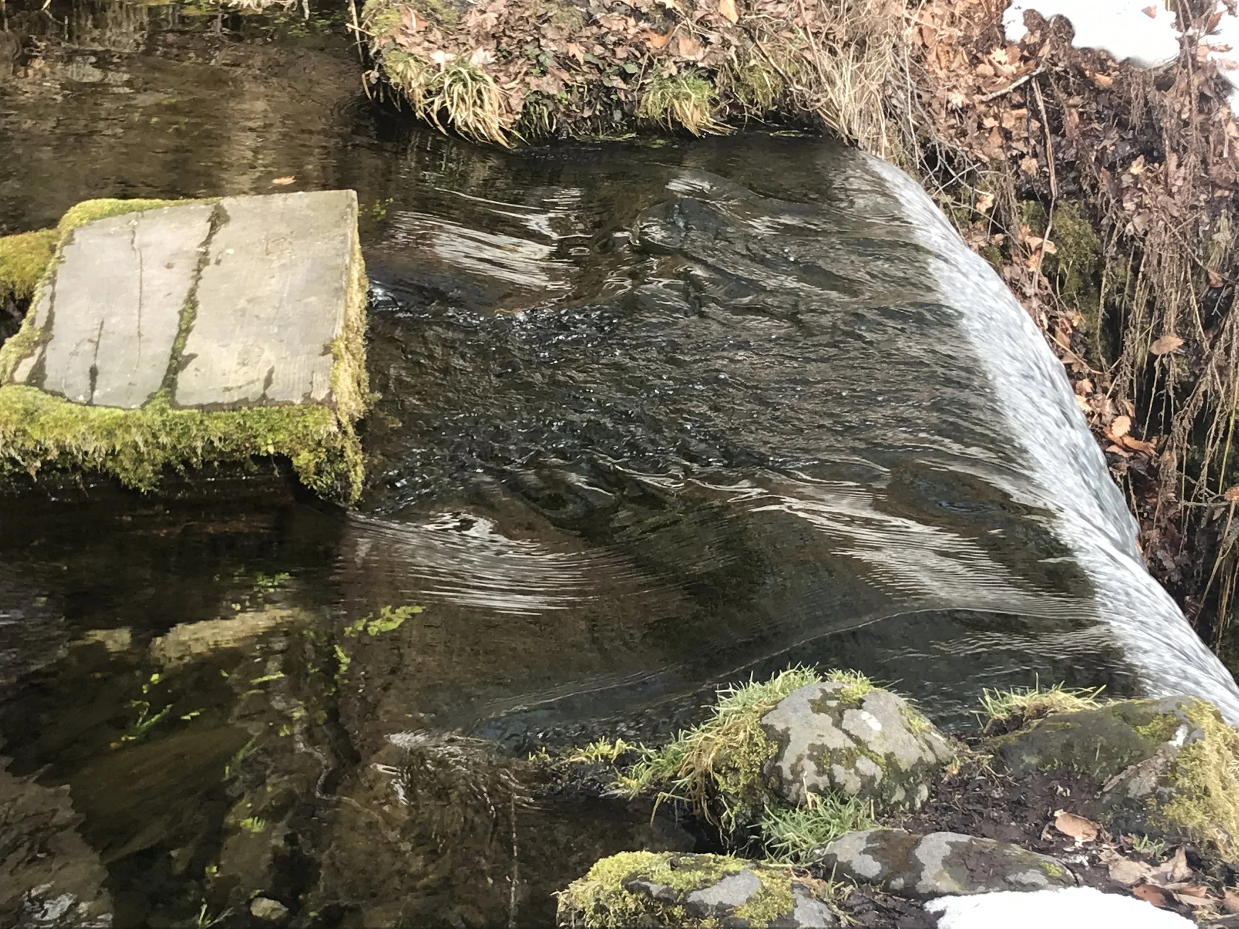 A Week of Not Writing