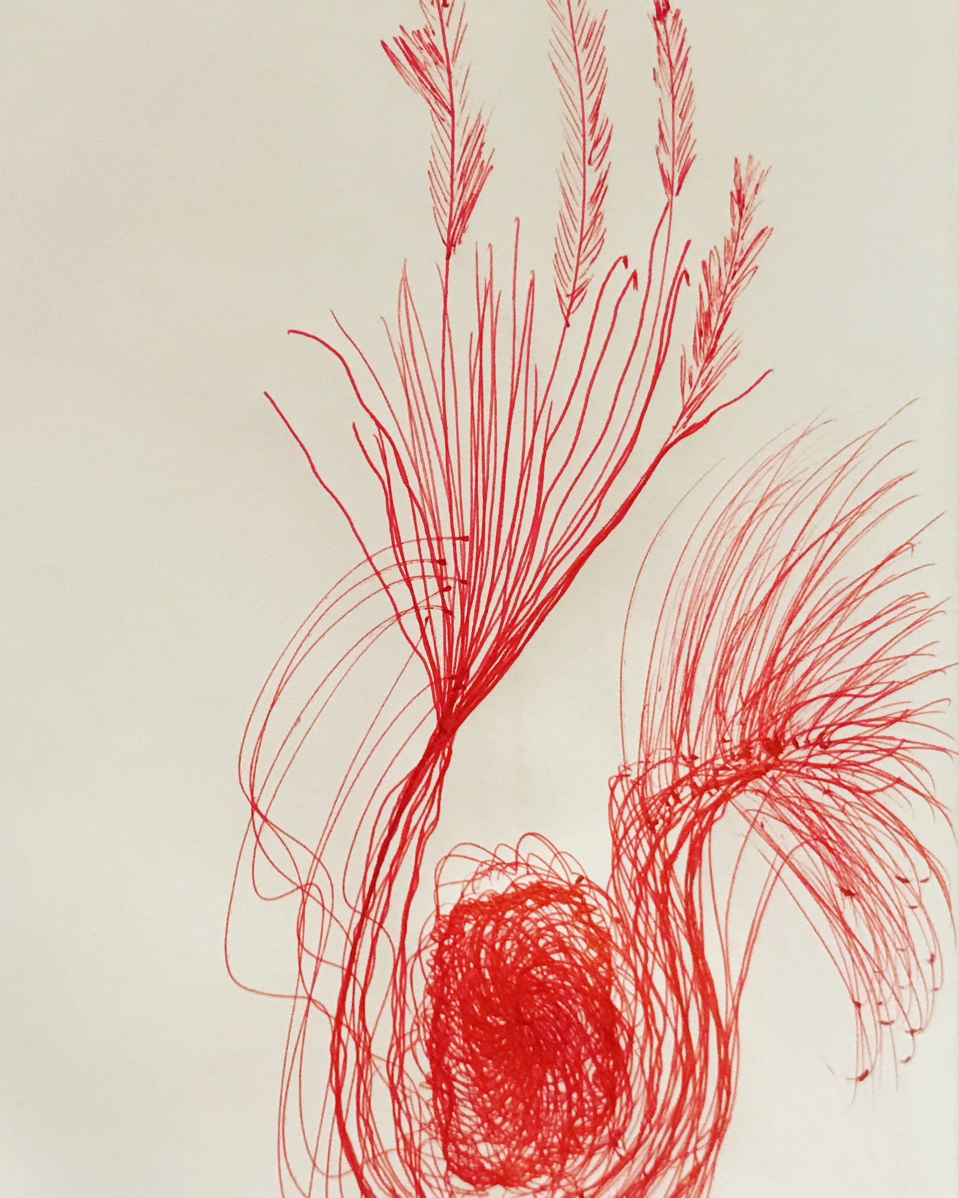 The Test, My Writing & Playing The Instruments