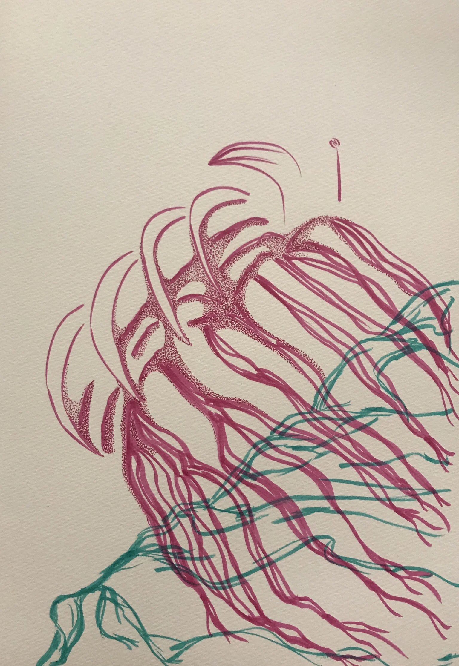 I Am IN-PROGRESS On Submittable