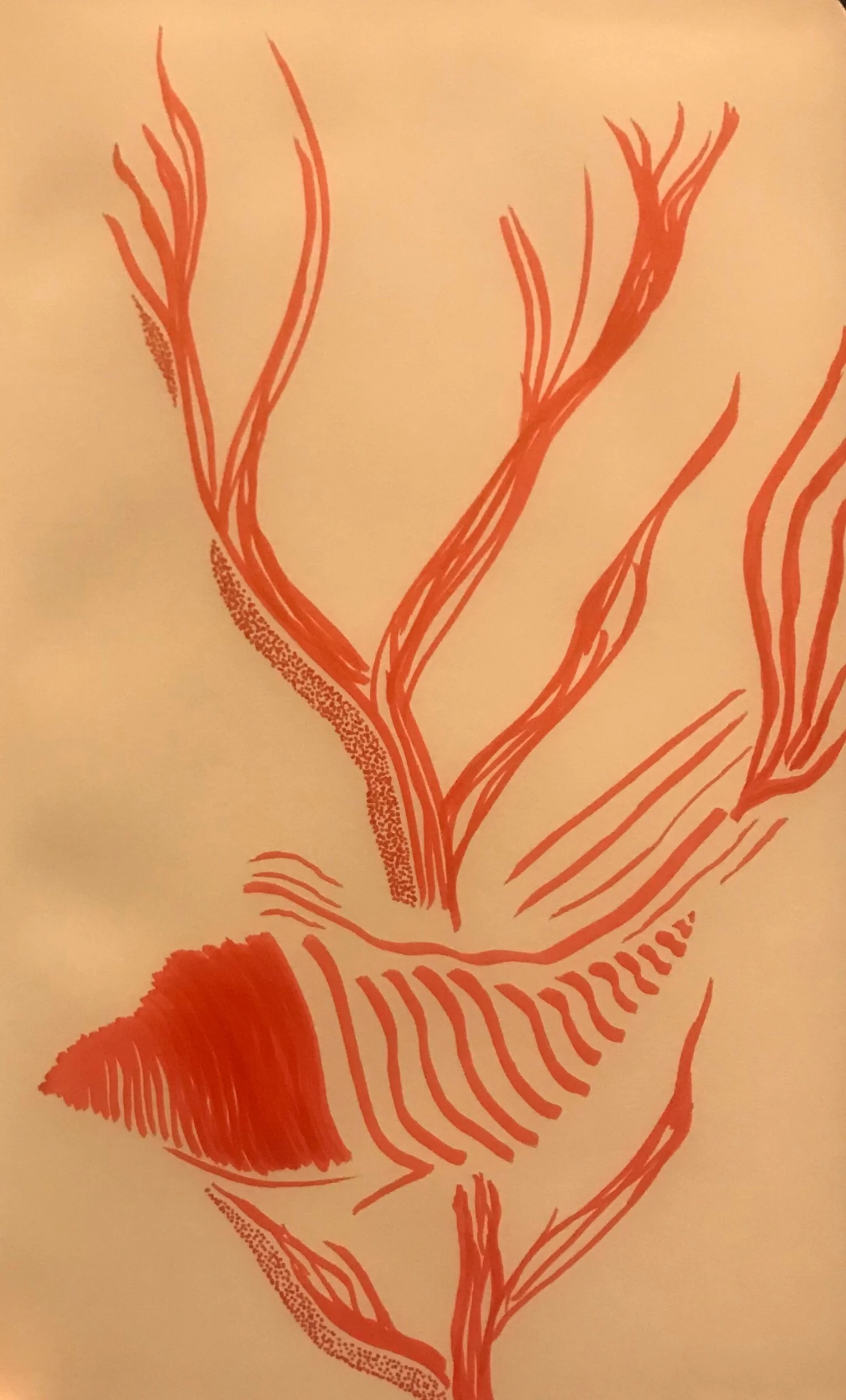 What If What I Write Is Boring?