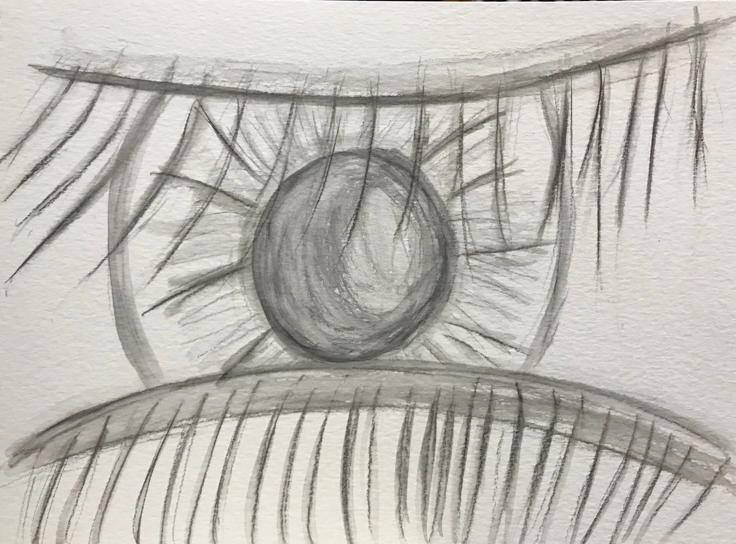 Last (Late) Blog Post of the Year