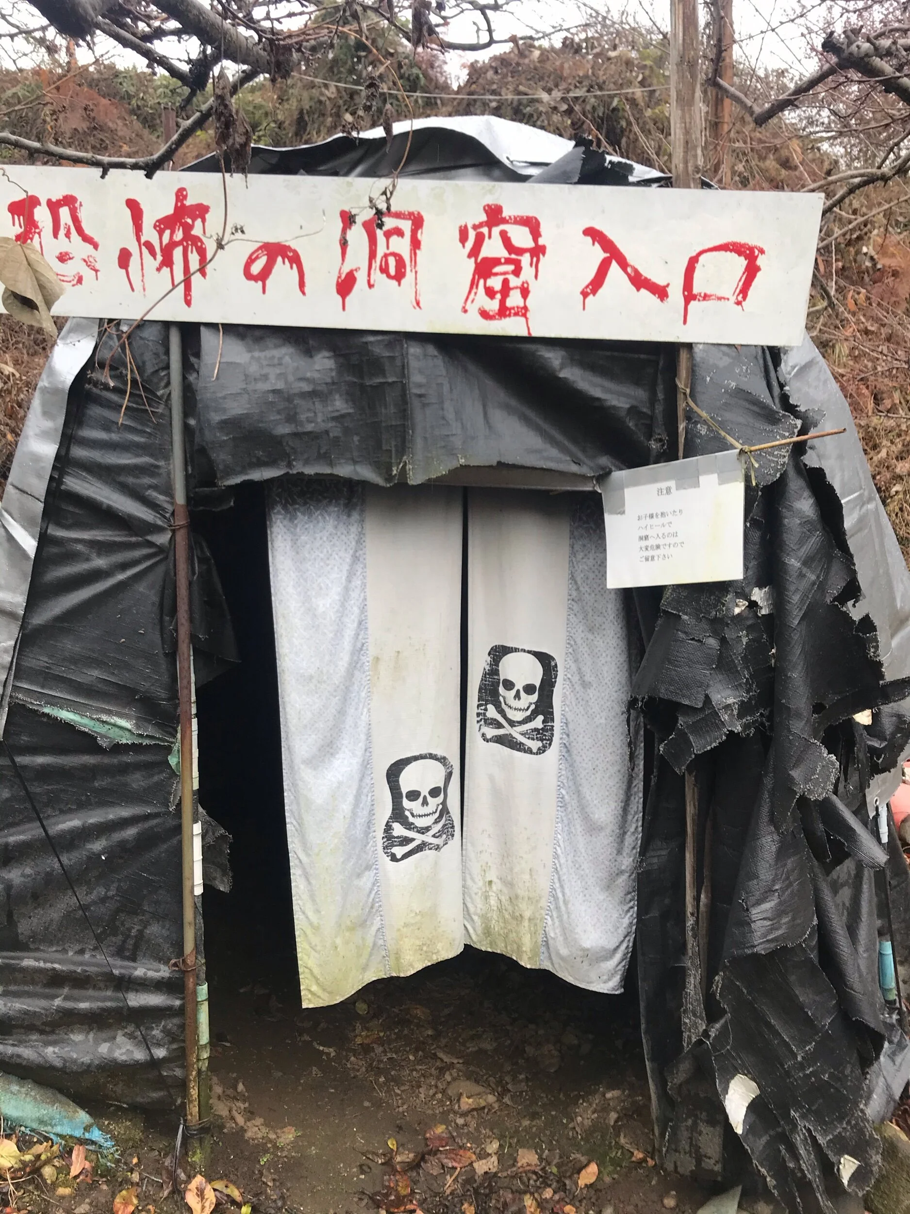 Fairy Tales For The Win