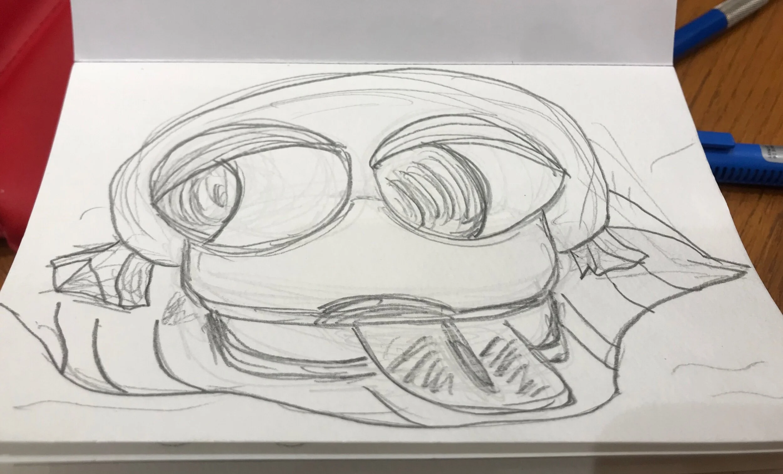 Finally An Acceptance!