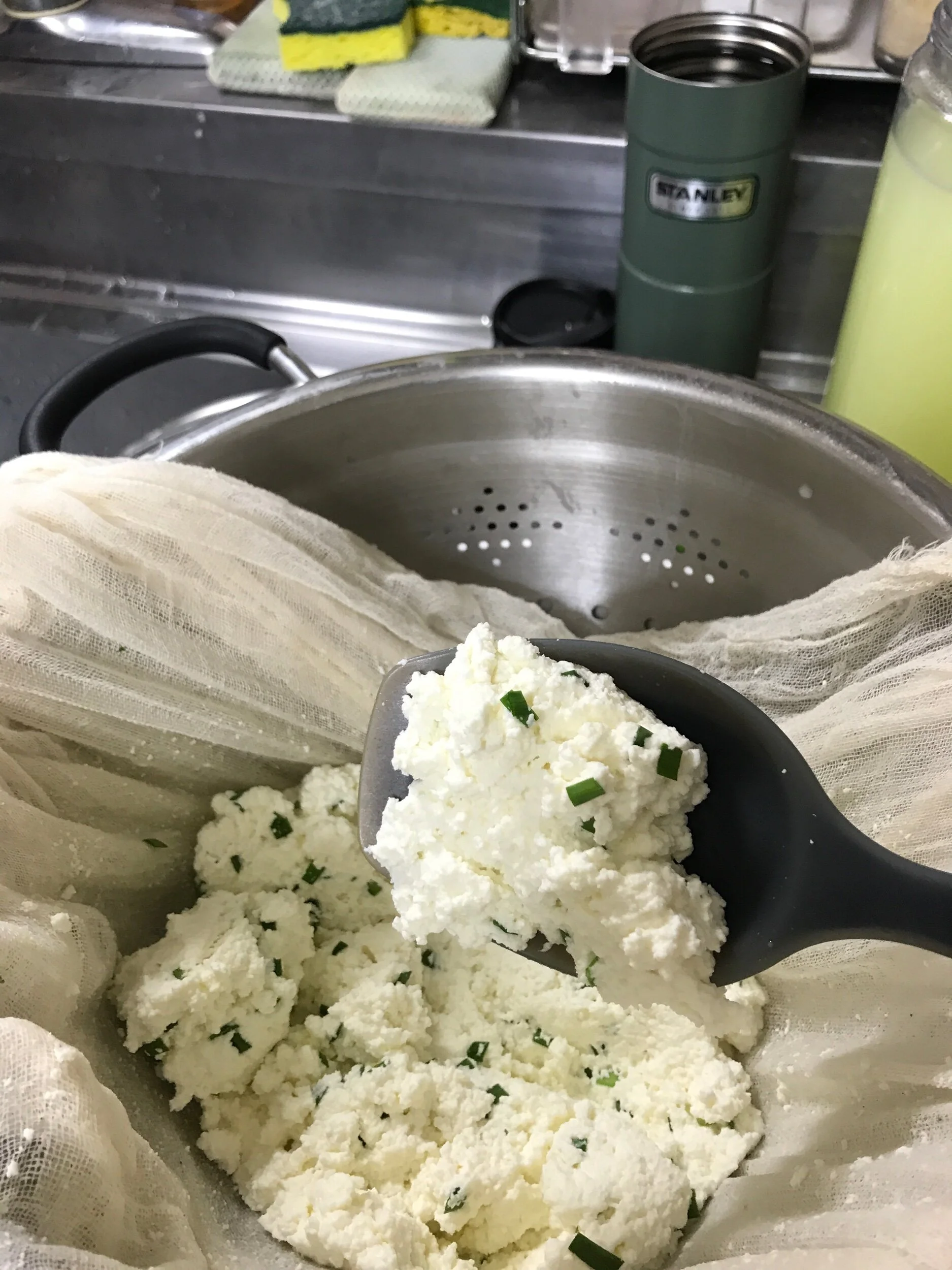 I Made Cheese Because…