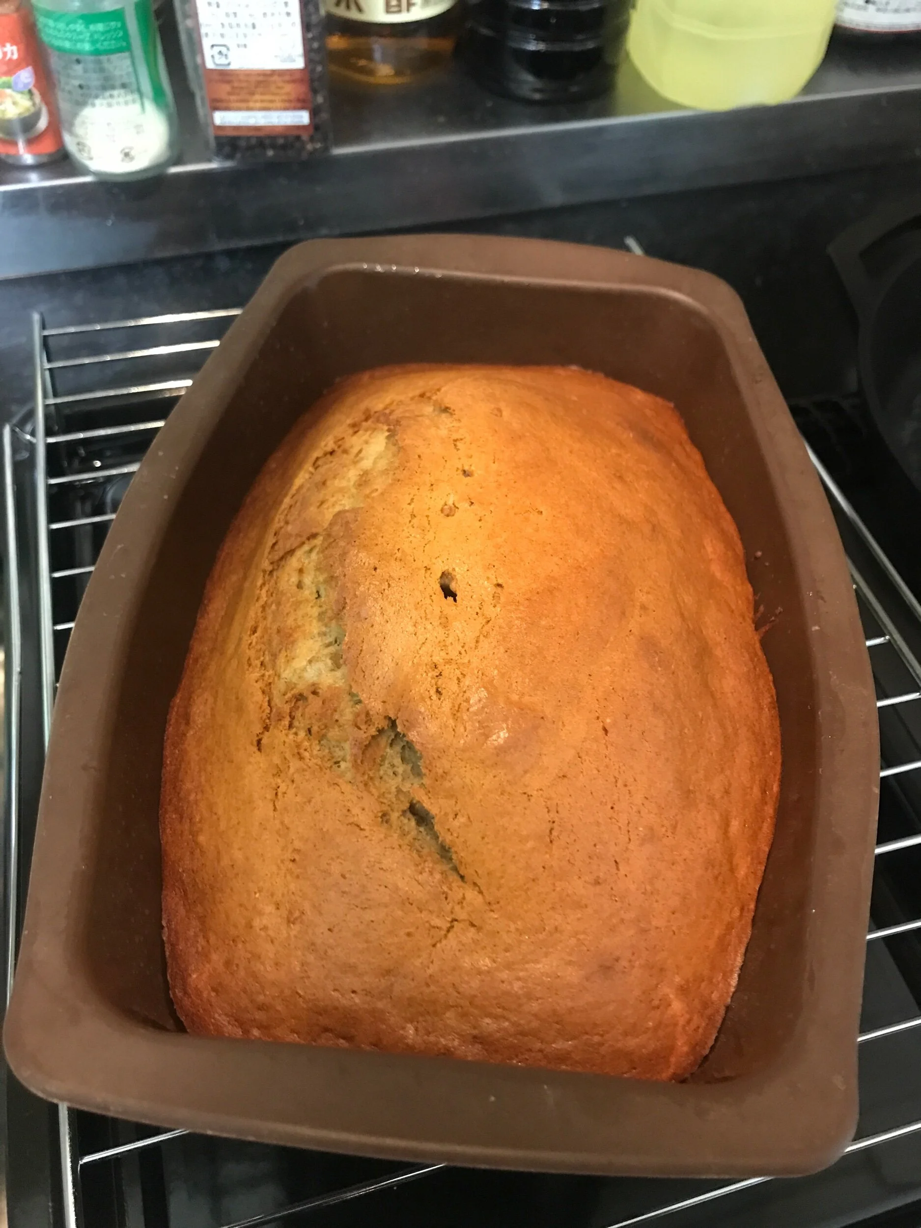 Finally! I Can Work From Home!